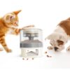 Pet Feeder - Διαδραστικό Παιχνίδι Ταΐστρα 14x14x17,6cm