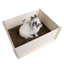 Bunny Digging Box