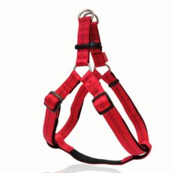 Σαμαράκι Double Layer Type A Soft Filling - M: 2*40-60cm Κόκκινο