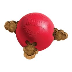 Kong Ball Biscuit - Small εως 9Kg + Δώρο Λιχουδιές - Image 2
