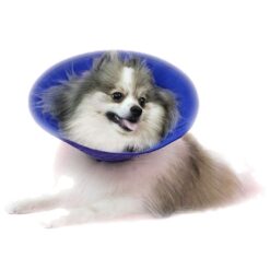 Κολάρο Ελισσάβετ Soft - Small 14cm