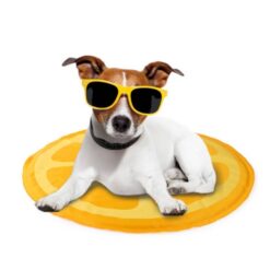 AFP Orange Cooling Bed - Στρώμα Ψύξης 60cm - Image 2