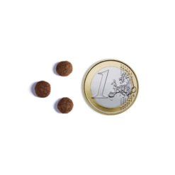 AMBROSIA Adult Mini Fresh Salmon & Rabbit 1,5kg - Image 4