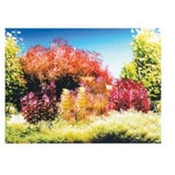 Αφίσα Φόντο Ενυδρείου Διπλής Όψης - 1m X 50cm - Image 2