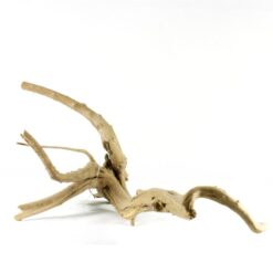 Φυσικό Ξύλο Για Ενυδρείο Small 17-20cm - Image 2