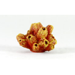 Κοράλι Mini C 5cm - Κόκκινο-Κίτρινο