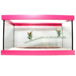 Ενυδρείο Για Χελώνες Με Εξέδρα Petgreece - 40x20x20cm