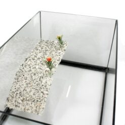 Ενυδρείο Για Χελώνες PetGreece 50x30x24cm - Image 2