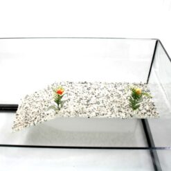 Ενυδρείο Για Χελώνες PetGreece 50x30x24cm - Image 3