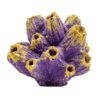 Petgreece Aquarium Decor - Κοράλι Mini Μωβ-Χρυσό 5cm