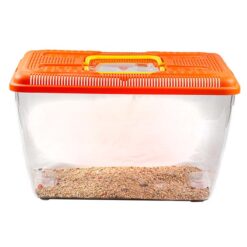 Γυάλα Πλαστική Πορτοκαλί Large : 25x15,5x16cm 6 Λίτρα
